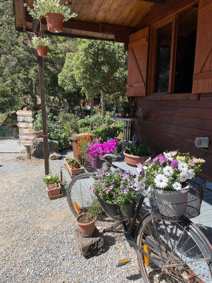 Agricamping Le Terrazze 호텔 오르코 펠리노 외부 사진