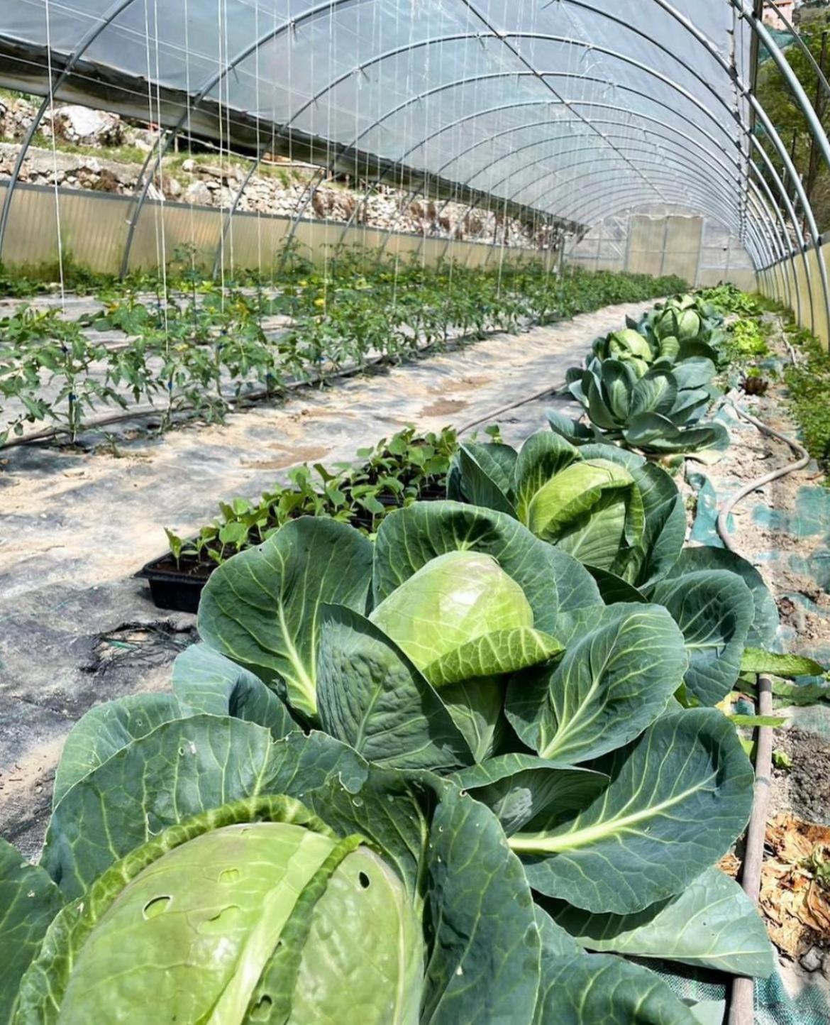 Agricamping Le Terrazze 호텔 오르코 펠리노 외부 사진